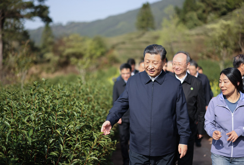 2021年3月22日下午，習(xi) 近平在福建省南平市武夷山市星村鎮燕子窠生態茶園，察看春茶長勢，了解當地茶產(chan) 業(ye) 發展情況。