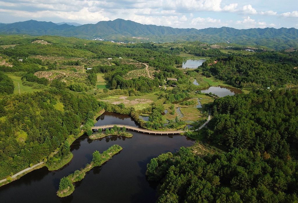福建省龍岩市長汀縣的長汀汀江國家濕地公園景色（2020年7月28日攝，無人機照片）。新華社記者 魏培全 攝