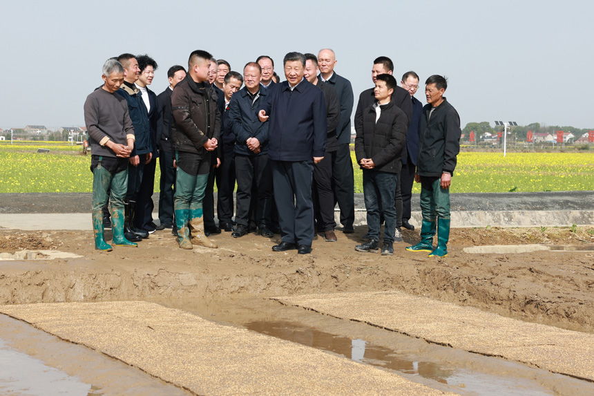 2024年3月18日至21日，中共中央總書(shu) 記、國家主席、中央軍(jun) 委主席習(xi) 近平在湖南考察。這是19日下午，習(xi) 近平在常德市鼎城區謝家鋪鎮港中坪村走進田間，察看秧苗培育和春耕備耕進展。新華社記者 王曄 攝