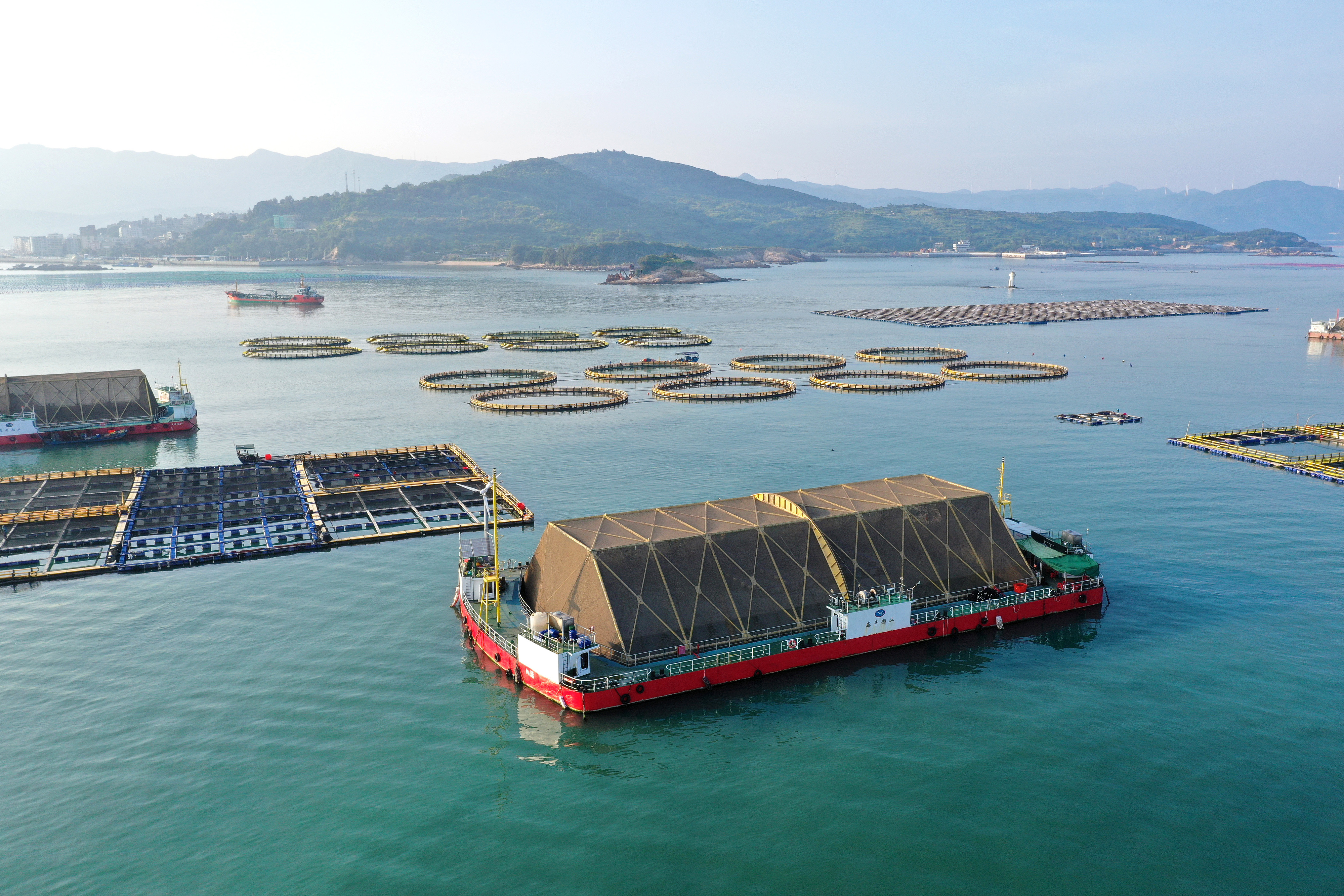 2024年9月10日拍攝的福建省福州市連江縣定海灣海域的現代化“海上糧倉(cang) ”。