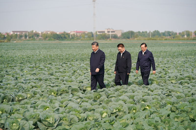 2024年11月5日，習(xi) 近平總書(shu) 記在湖北嘉魚潘家灣鎮十裏蔬菜長廊考察。