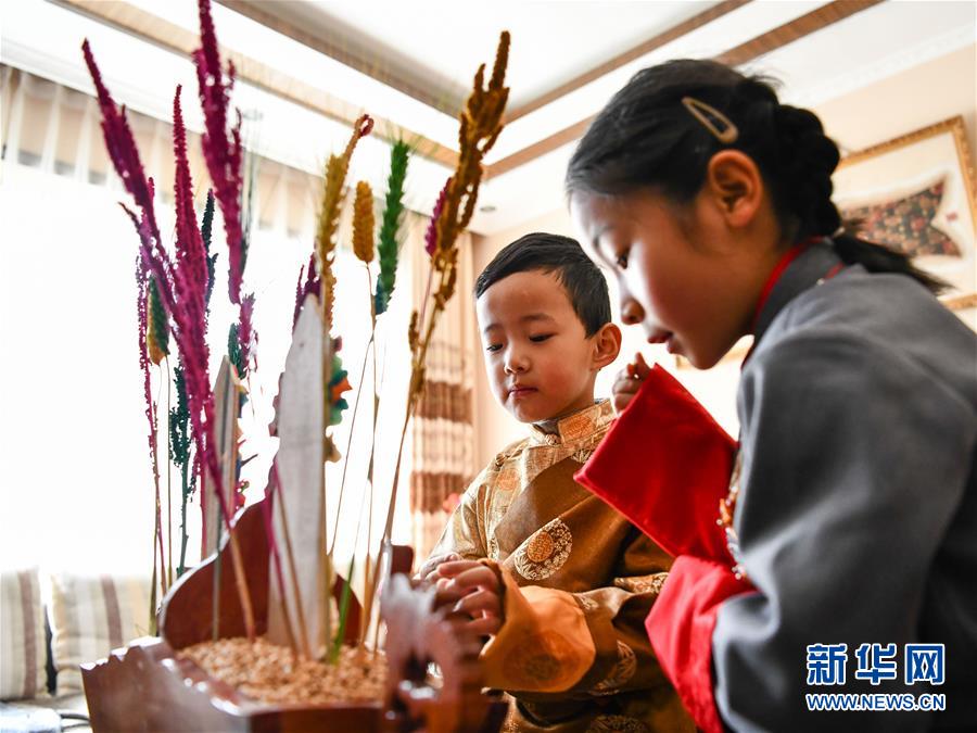 （社會(hui) ）（2）西藏各地歡度藏曆新年