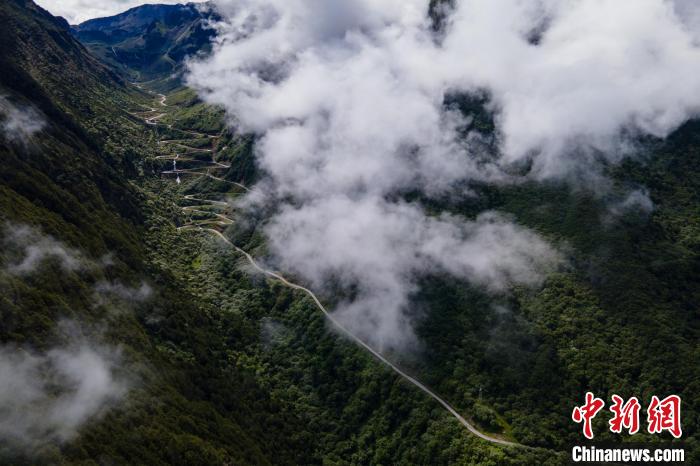 西藏山南勒布溝景區的盤山公路被雲(yun) 霧環繞。　江飛波 攝