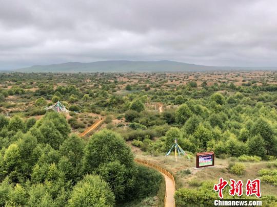 江蘇援青解“生態題”：援“建”沙漠綠洲幫“淨”地下水源
