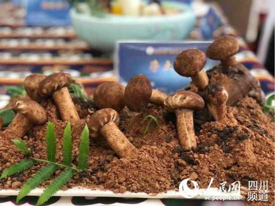 雅江鬆茸（圖片由雅江縣委宣傳部提供）