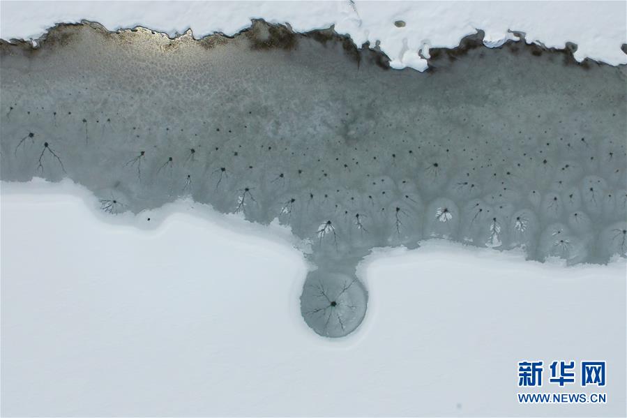 （環境）（2）雪後青海湖