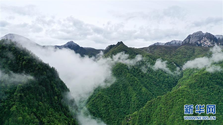 （美麗(li) 中國）（3）甘肅舟曲：雲(yun) 霧飄渺 岷山如畫