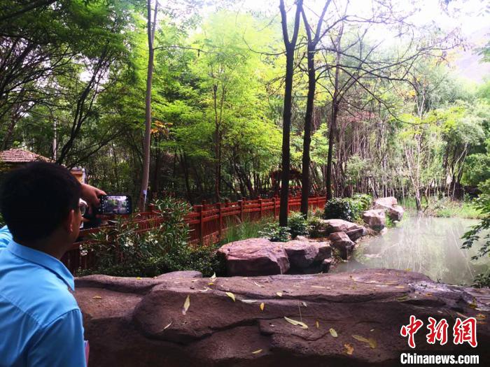 甘肅舟曲葡萄產(chan) 業(ye) 成景似“江南水鄉(xiang) ”興(xing) 庭院經濟鋪致富路