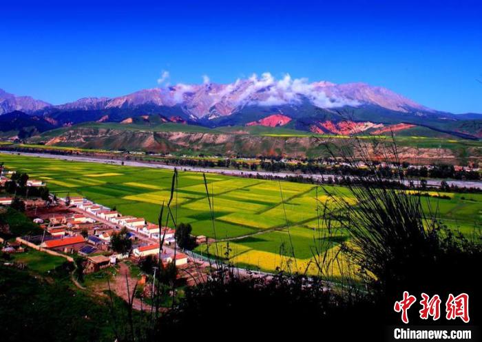 圖為(wei) 青海省海北藏族自治州草原風光。海北州文體(ti) 旅遊廣電局供圖