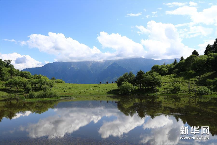 （新華視界）（6）甘肅舟曲：夏日藏鄉(xiang) 畫中景