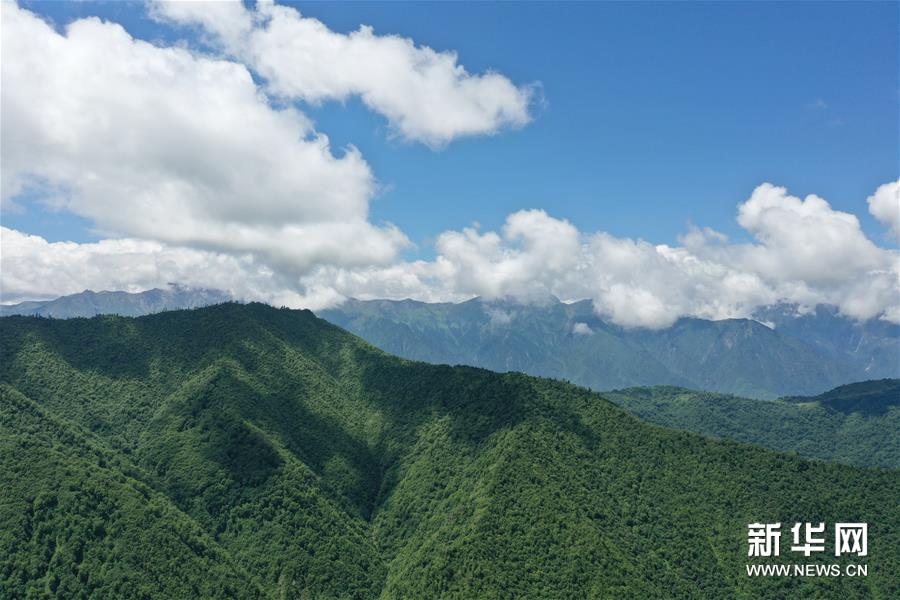 （新華視界）（1）甘肅舟曲：夏日藏鄉(xiang) 畫中景
