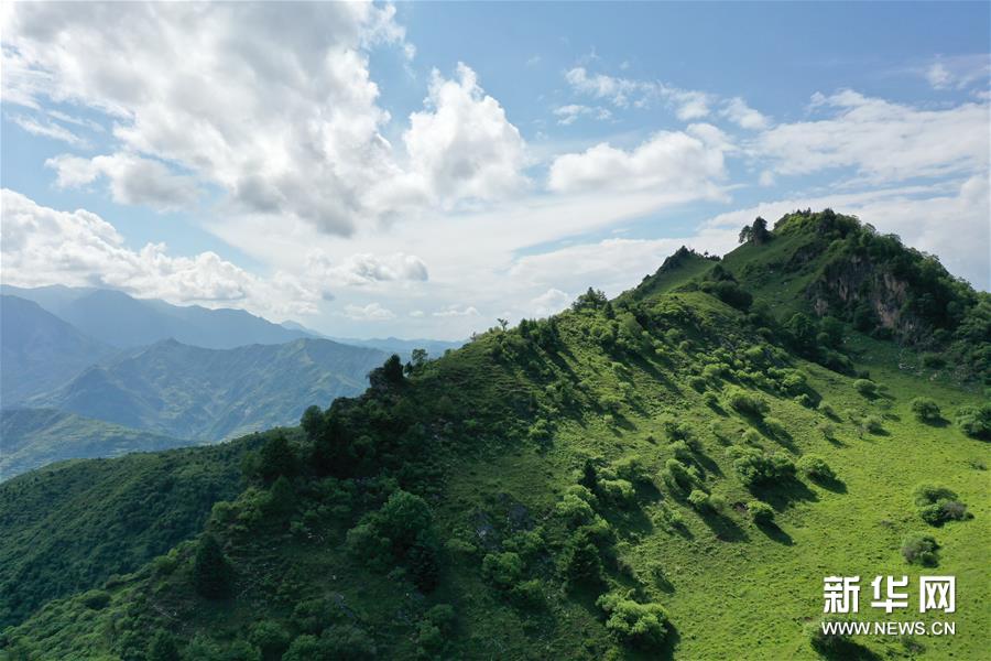 （新華視界）（3）甘肅舟曲：夏日藏鄉(xiang) 畫中景