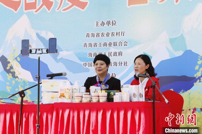 青海湖畔“花海直播間”：“甜蜜”帶貨助農(nong) 增收