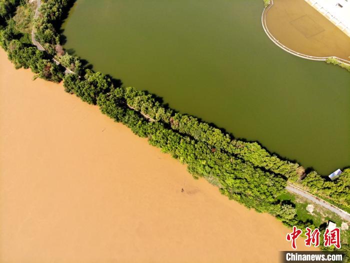 圖為(wei) 2020年9月3日航拍黃河蘭(lan) 州段濕地公園現黃河“鴛鴦鍋”。(資料圖) 高瑩 攝