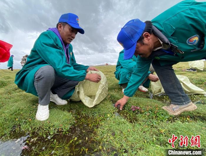長江南源牧民保護隊：將保護家園的心傳(chuan) 承下去