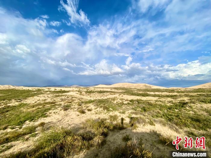 圖為(wei) 關(guan) 停四年後的沙島景區現狀。　李江寧 攝