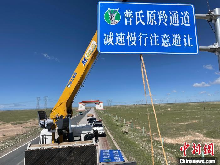 圖為(wei) 青海省海北州剛察縣設立的普氏原羚通道警示牌。　青海省海北州人民檢察院供圖