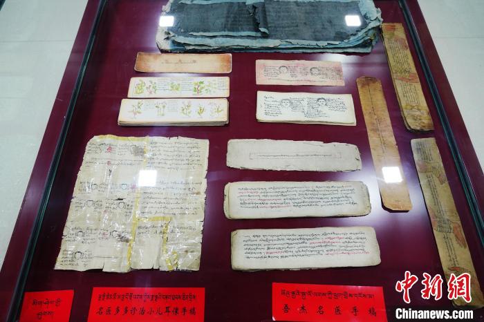 圖為(wei) 藏醫古集文獻和藏醫臨(lin) 床原始手稿。　馬銘言 攝