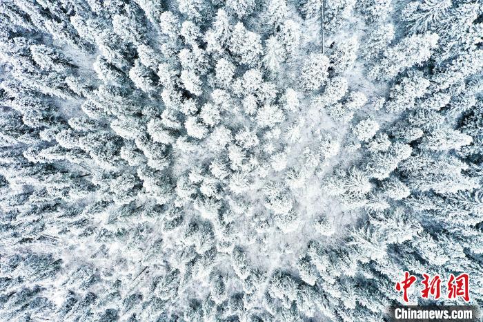 壤塘的雪後美景。　壤塘縣融媒體(ti) 中心供圖