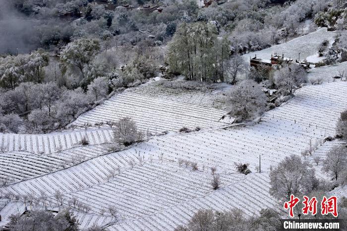 雪後的高山田間如畫。　李永安 攝