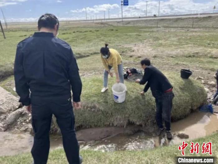 青海湖環湖地區幹部群眾(zhong) 共同救助擱淺青海湖裸鯉