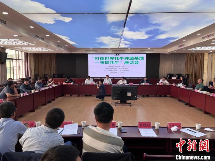 青海打造世界犛牛種源基地