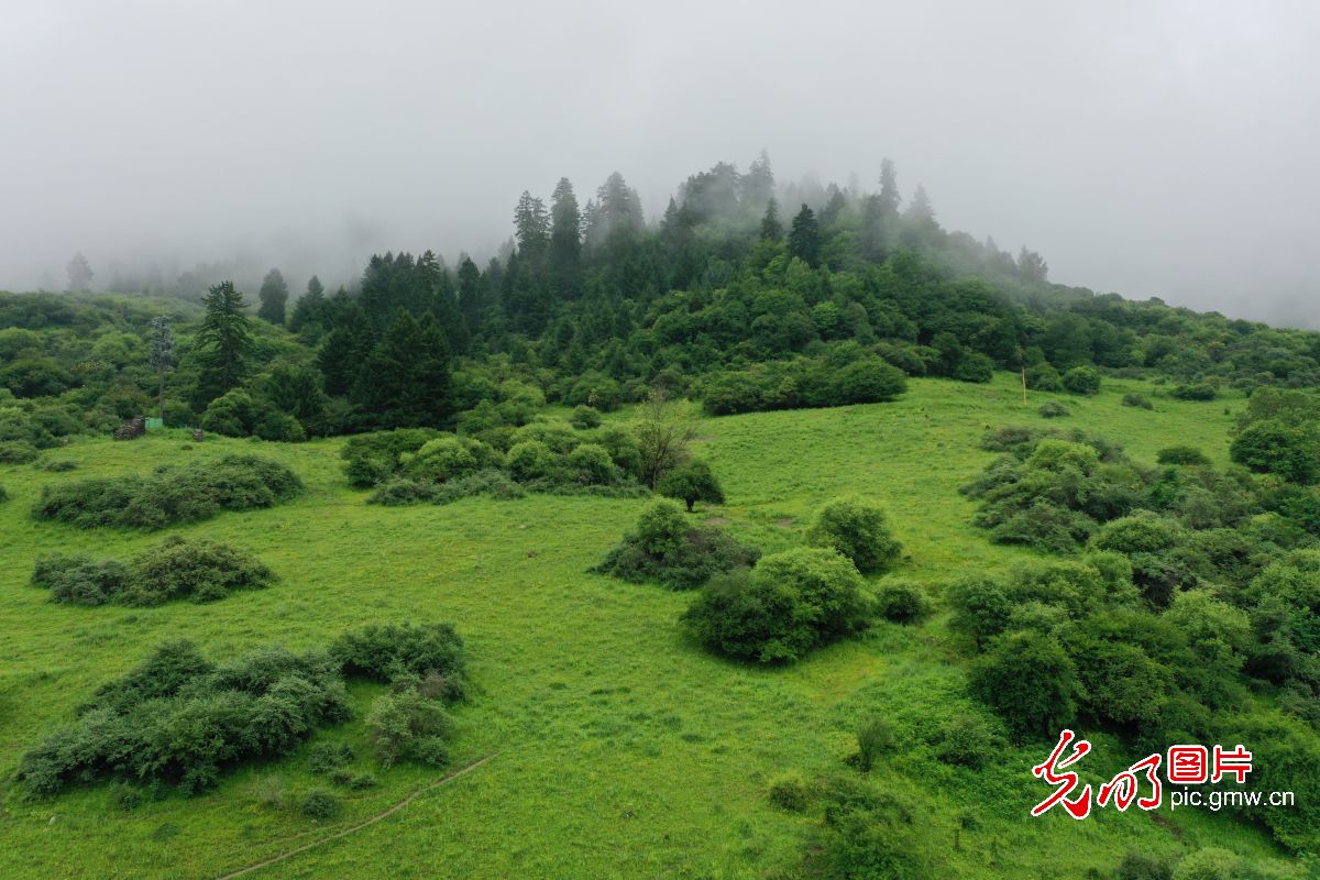 四川九寨溝：生態旅遊漸熱