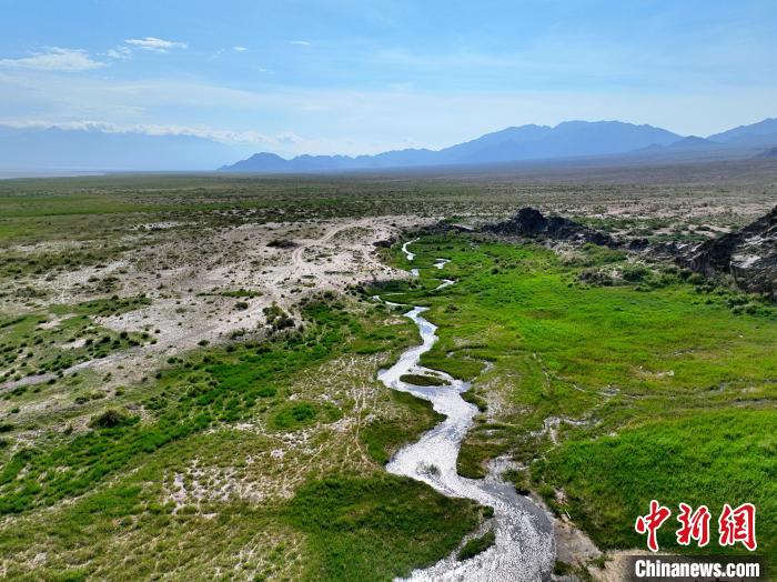 圖為(wei) 航拍都蘭(lan) 湖國家濕地公園綠意盎然。　祁增蓓 攝