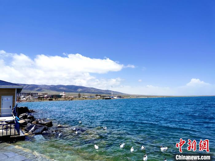 青海多舉(ju) 措加強青海湖流域生態環境監管