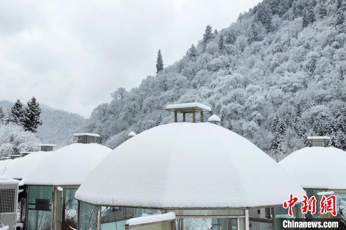 大熊貓國家公園王朗片區春雪如畫，宛若仙境。　羅春平 攝