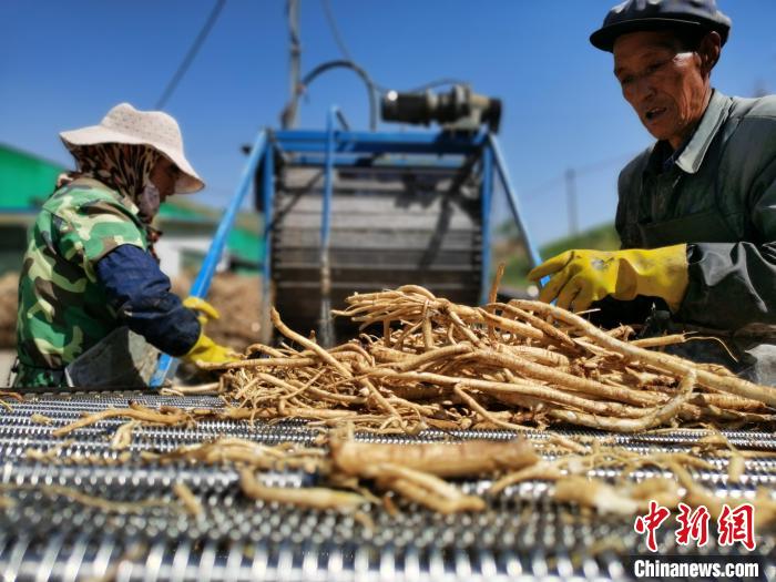 青海首部藏醫醫療機構中（藏）藥臨(lin) 床應用技術指南發布