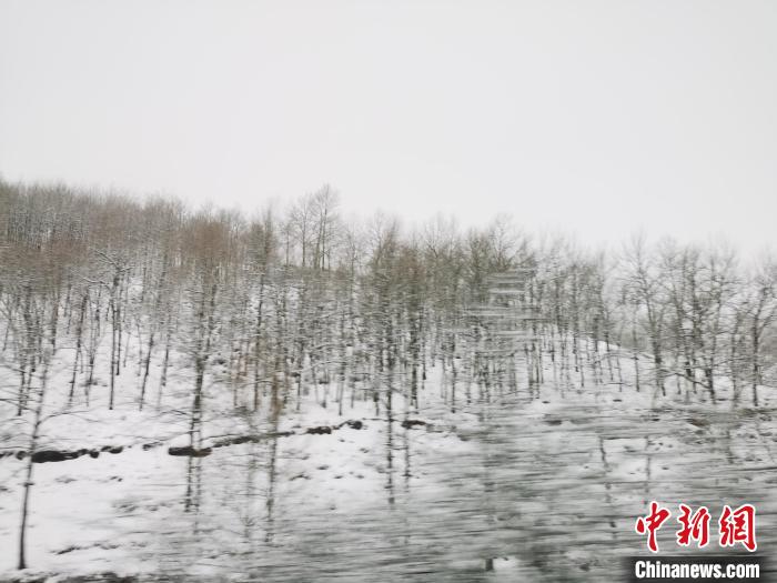 圖為(wei) 青海青沙山區域被降雪覆蓋。　張添福 攝