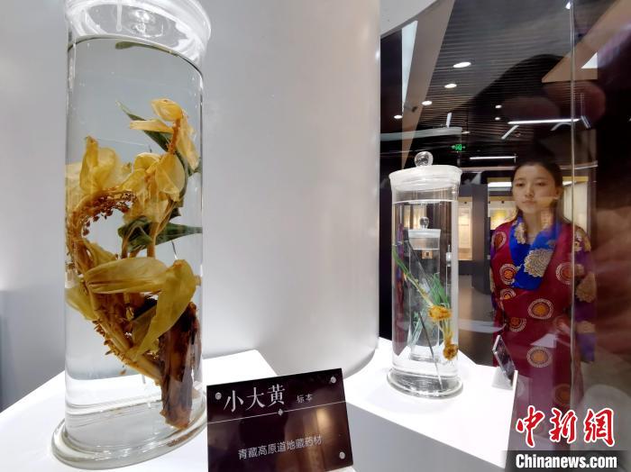 青海中藏醫藥發展提速：建設一批重點專(zhuan) 科學科，推廣一批適宜技術