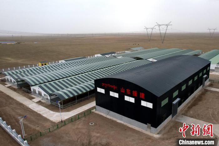 圖為航拍生態畜牧業集中規模化養殖基地。　蔡誌睿 攝