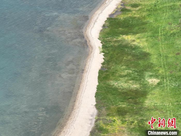 圖為(wei) 航拍仲夏時節，青海湖畔綠茵如毯。　祁增蓓 攝