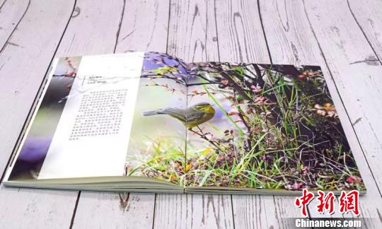 “環喜馬拉雅生態博物叢(cong) 書(shu) ”發布鮮活展示西藏生物多樣性