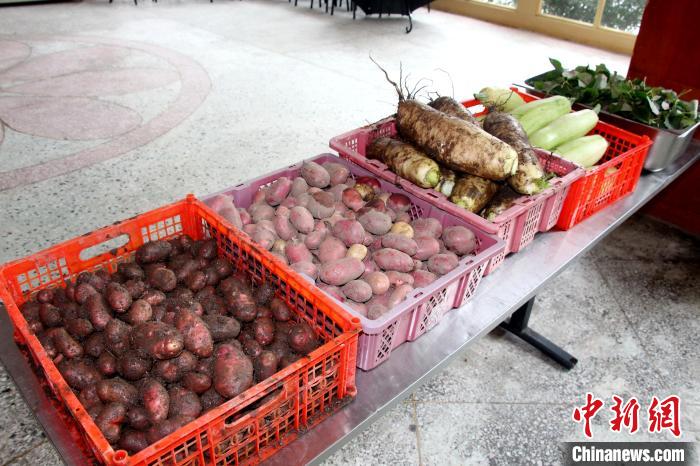 圖為(wei) 亞(ya) 東(dong) 邊檢站“警營菜園”喜獲豐(feng) 收的蔬菜。　王東(dong) 東(dong)  攝