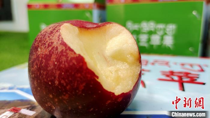 圖為(wei) 通麥村特色甜心蘋果。　貢桑拉姆 攝