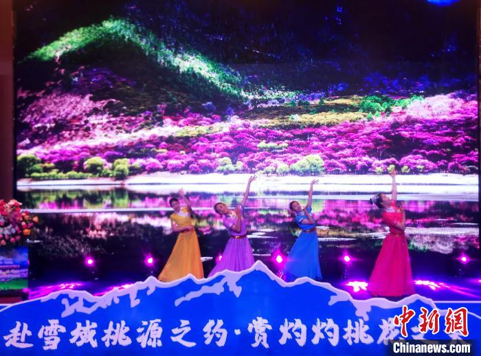 第十九屆林芝桃花旅遊文化節推介會(hui) 在拉薩舉(ju) 行