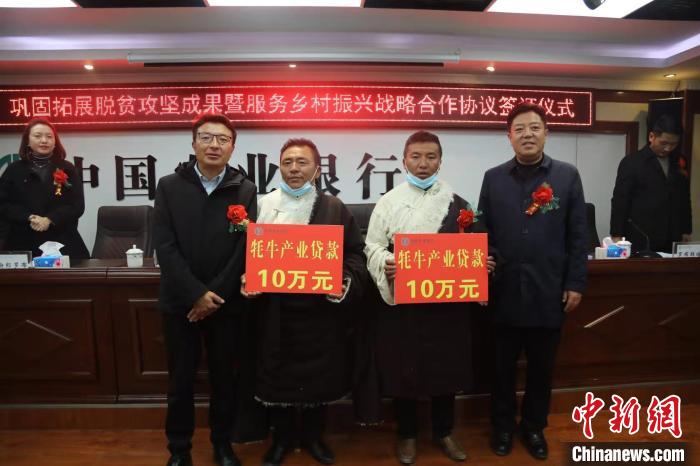 農(nong) 行西藏分行推出“犛牛產(chan) 業(ye) 貸”助力西藏畜牧業(ye) 發展