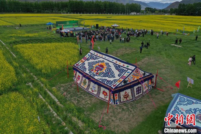 西藏油菜花海：以花為(wei) 媒領略高原之美