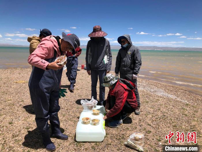 科考隊員在高原湖泊岸邊進餐。　<a target='_blank' href='https://www.chinanews.com/'><p  align=