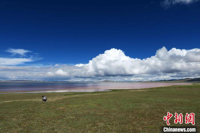 科考隊員在茲(zi) 格塘錯湖岸采樣。　<a target='_blank' href='https://www.chinanews.com/'></p><p  align=