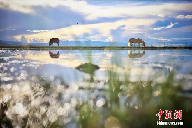 資料圖：那曲市申紮縣境內(nei) 的濕地。李雪峰 攝