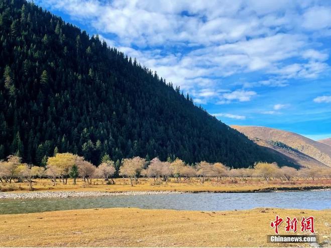 資料圖：西藏類烏(wu) 齊秋日風光。冉文娟 攝