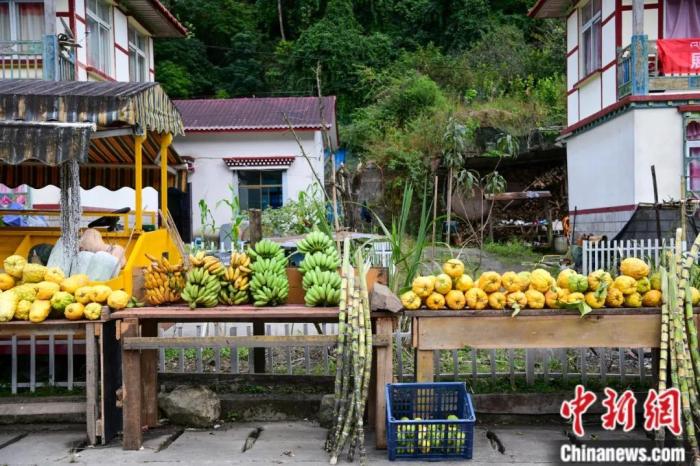 墨脫公路沿線，百姓擺攤銷售當地物產(chan) ，包含香蕉、甘蔗、檸檬等。(<a target='_blank' href='https://www.easyfundingllc.com/'><p  align=