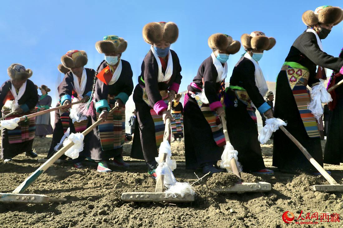 當地村民身著節日盛裝，舉(ju) 行春耕儀(yi) 式。人民網 次仁羅布攝
