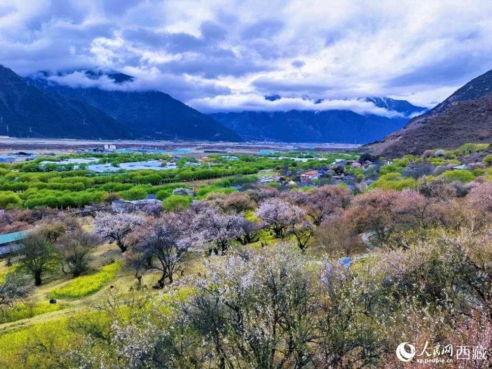 桃花從(cong) 中的“童話小鎮”。人民網 李海霞攝