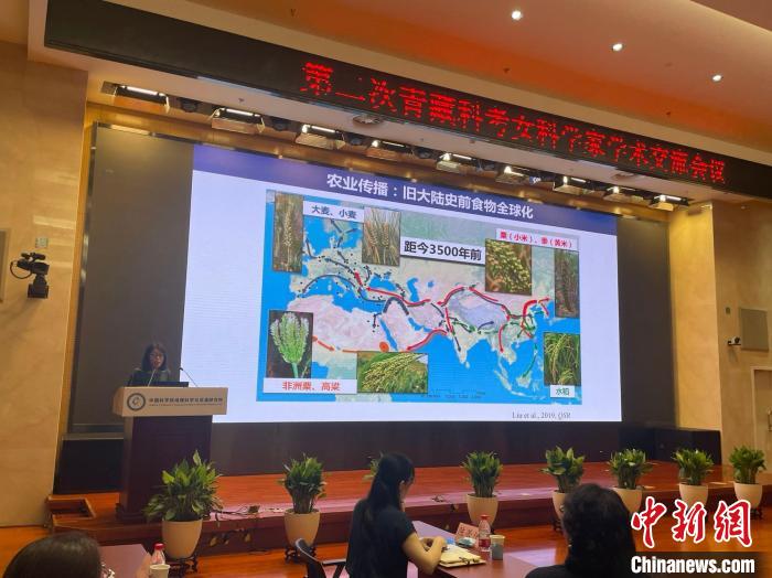 第二次青藏科考係列學術交流女科學家專(zhuan) 題交流會(hui) 召開