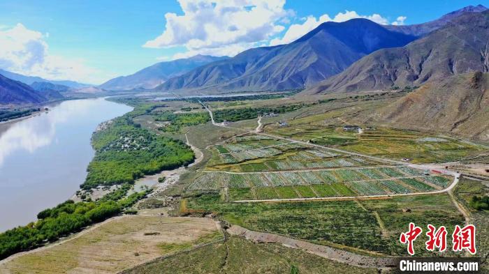 圖為(wei) 桑日縣葡萄種植基地。　山南桑日縣委宣傳(chuan) 部提供